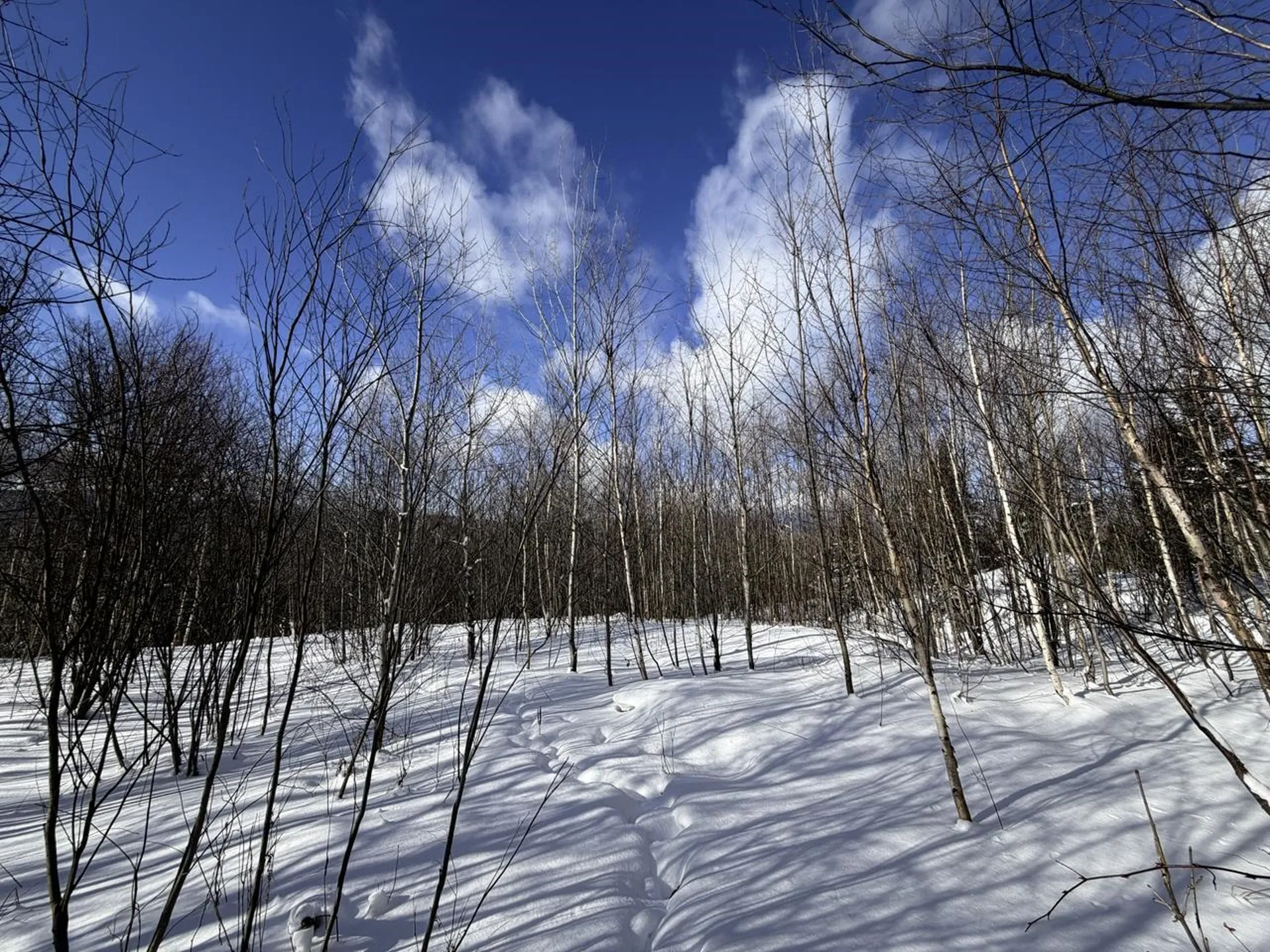 3 High View Road Warren VT 05674