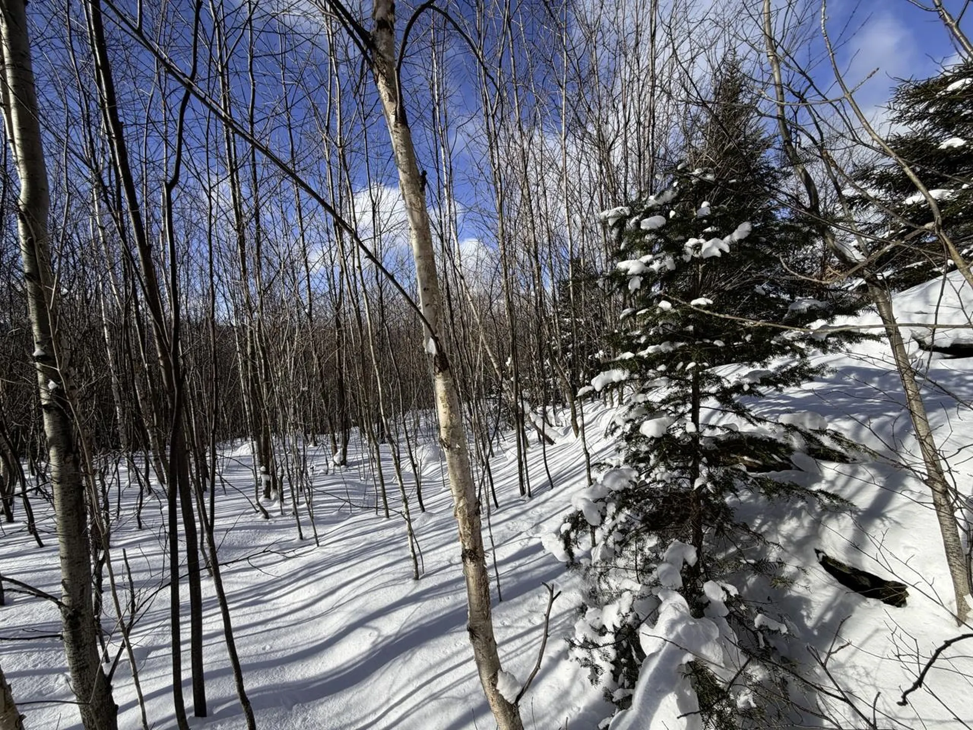 3 High View Road Warren VT 05674