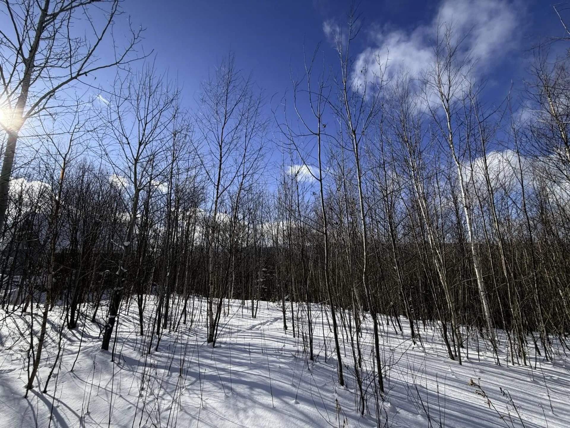 3 High View Road Warren VT 05674