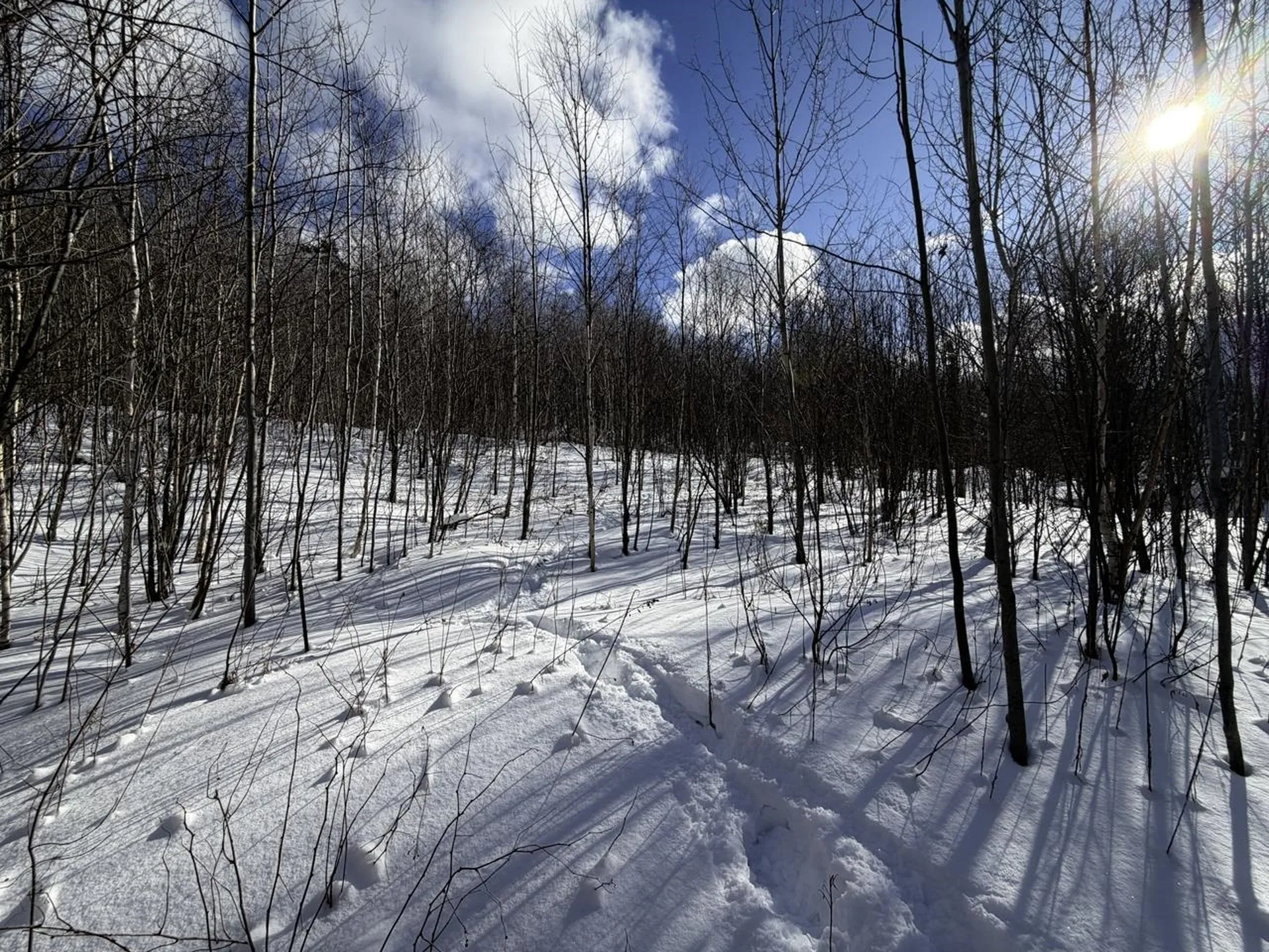 3 High View Road Warren VT 05674