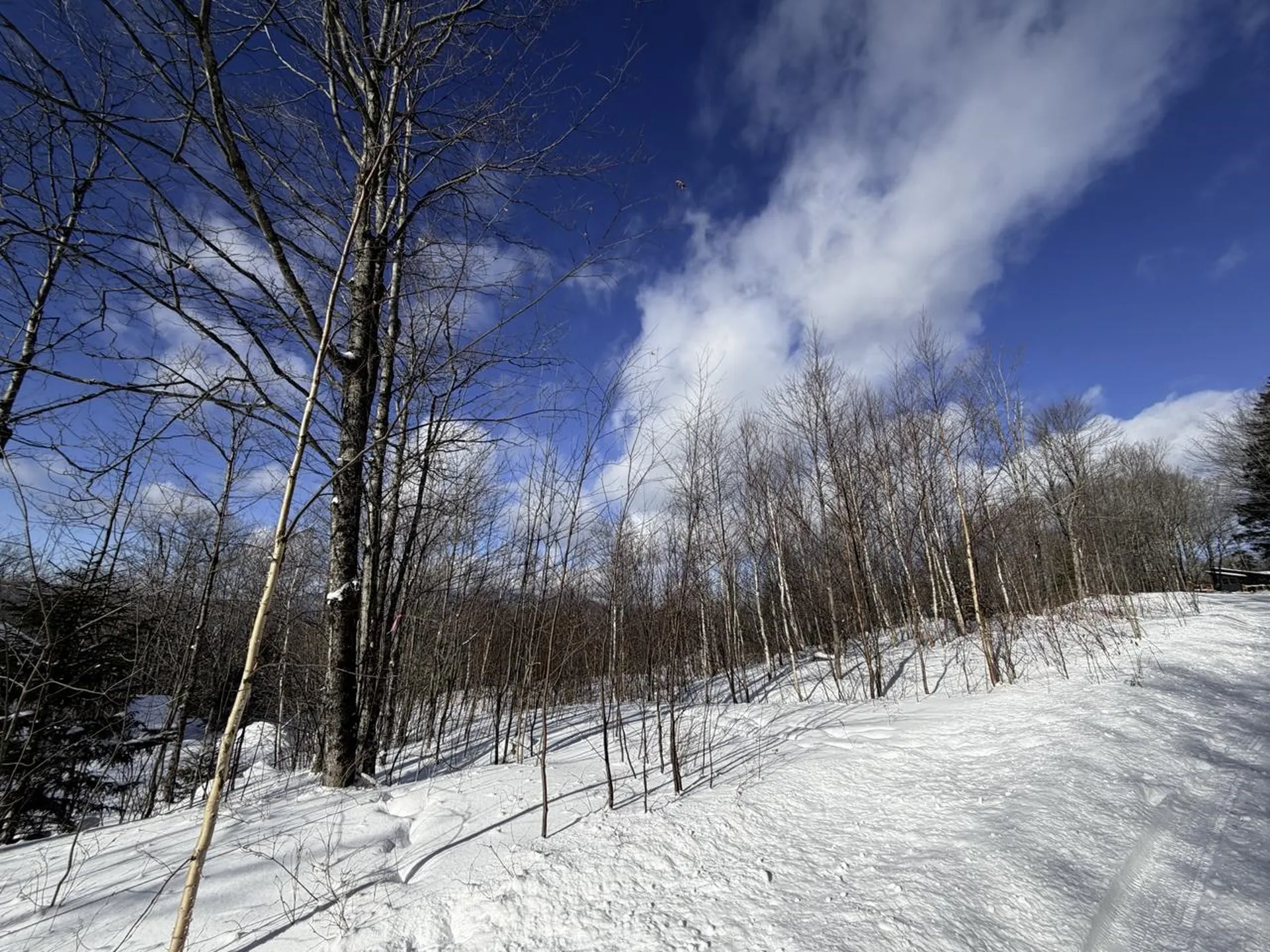 3 High View Road Warren VT 05674