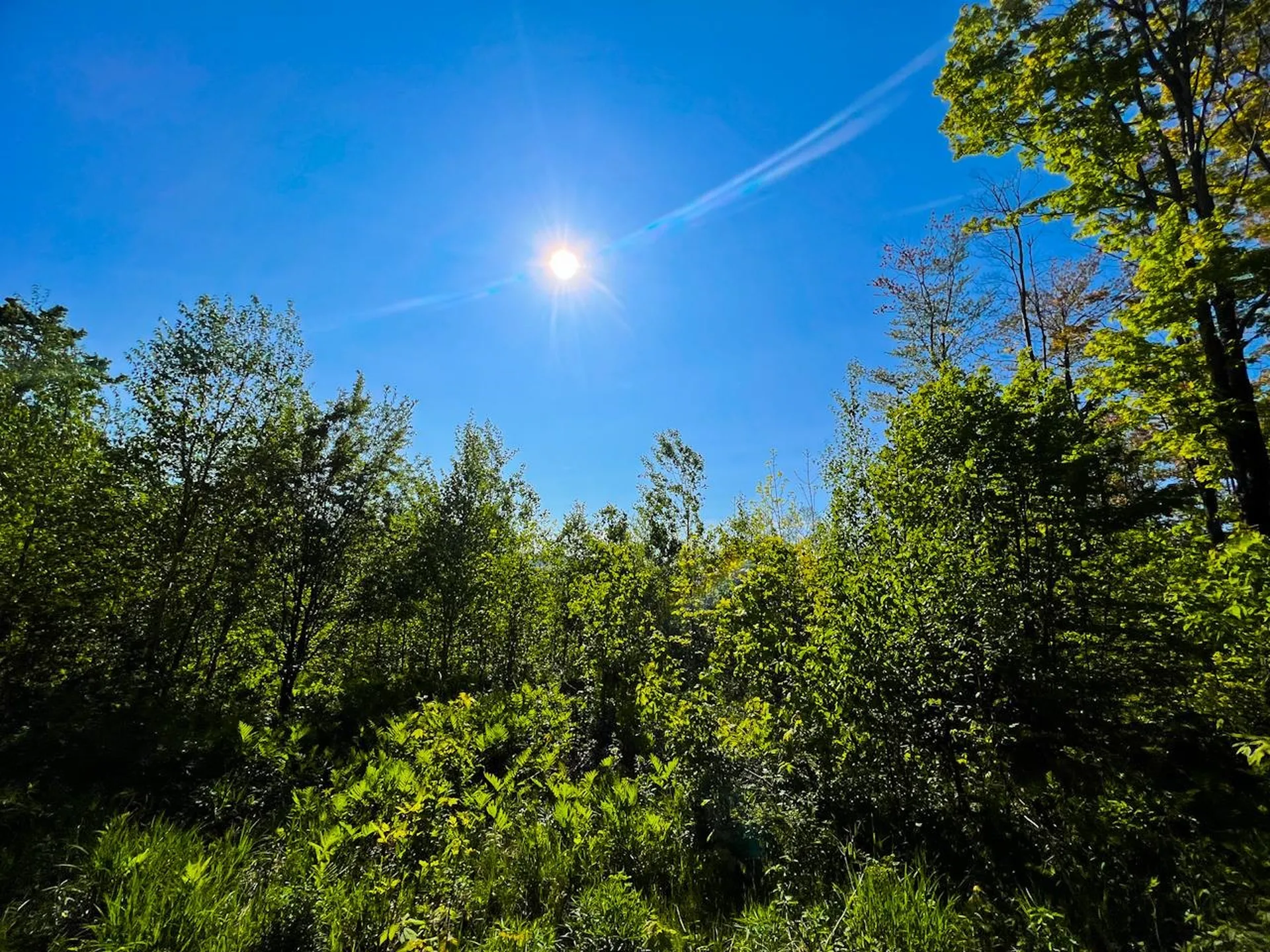 3 High View Road Warren VT 05674