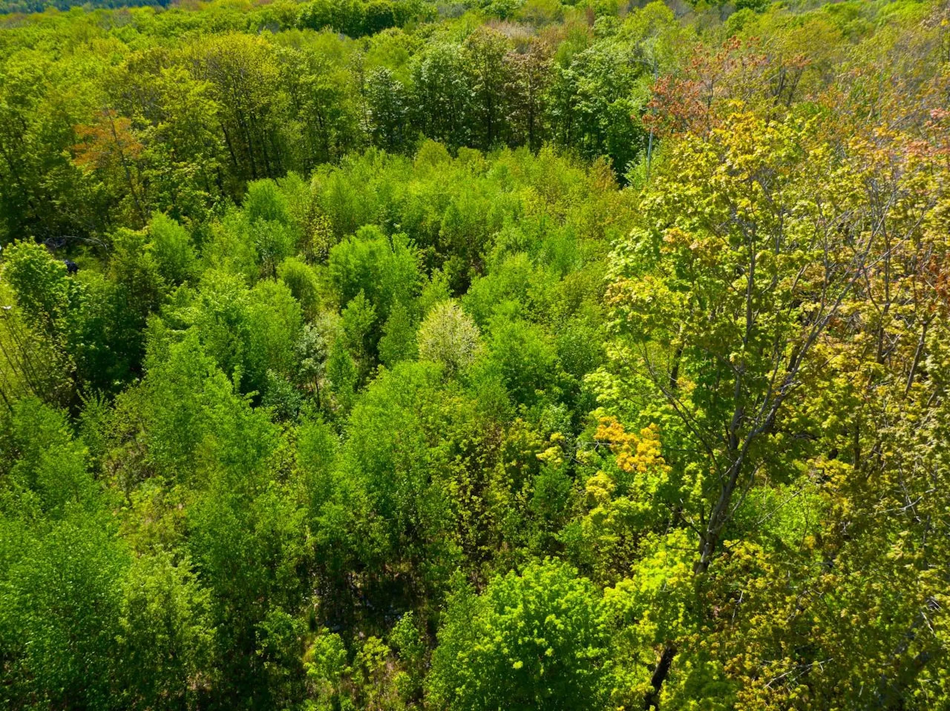 3 High View Road Warren VT 05674