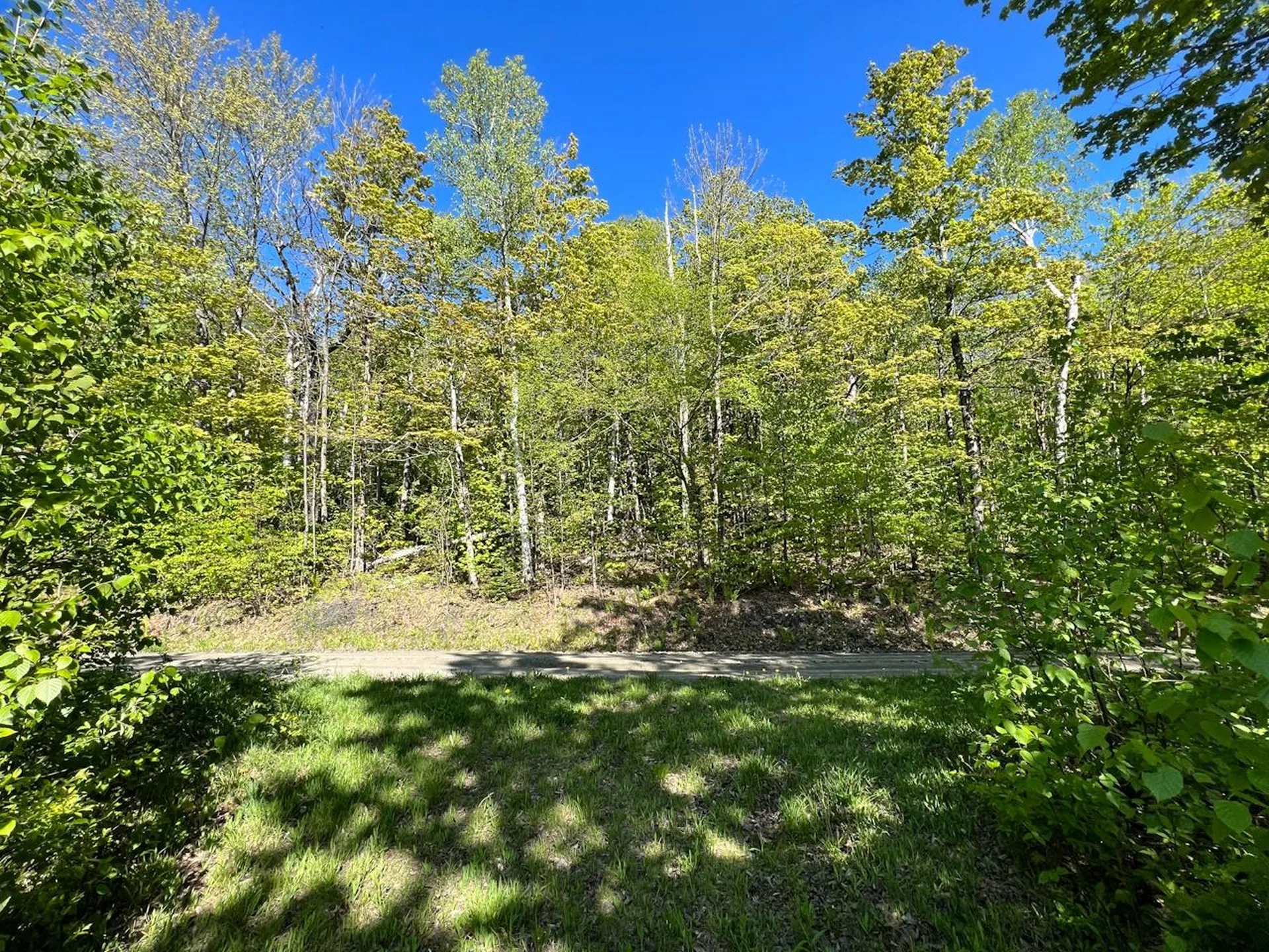 3 High View Road Warren VT 05674