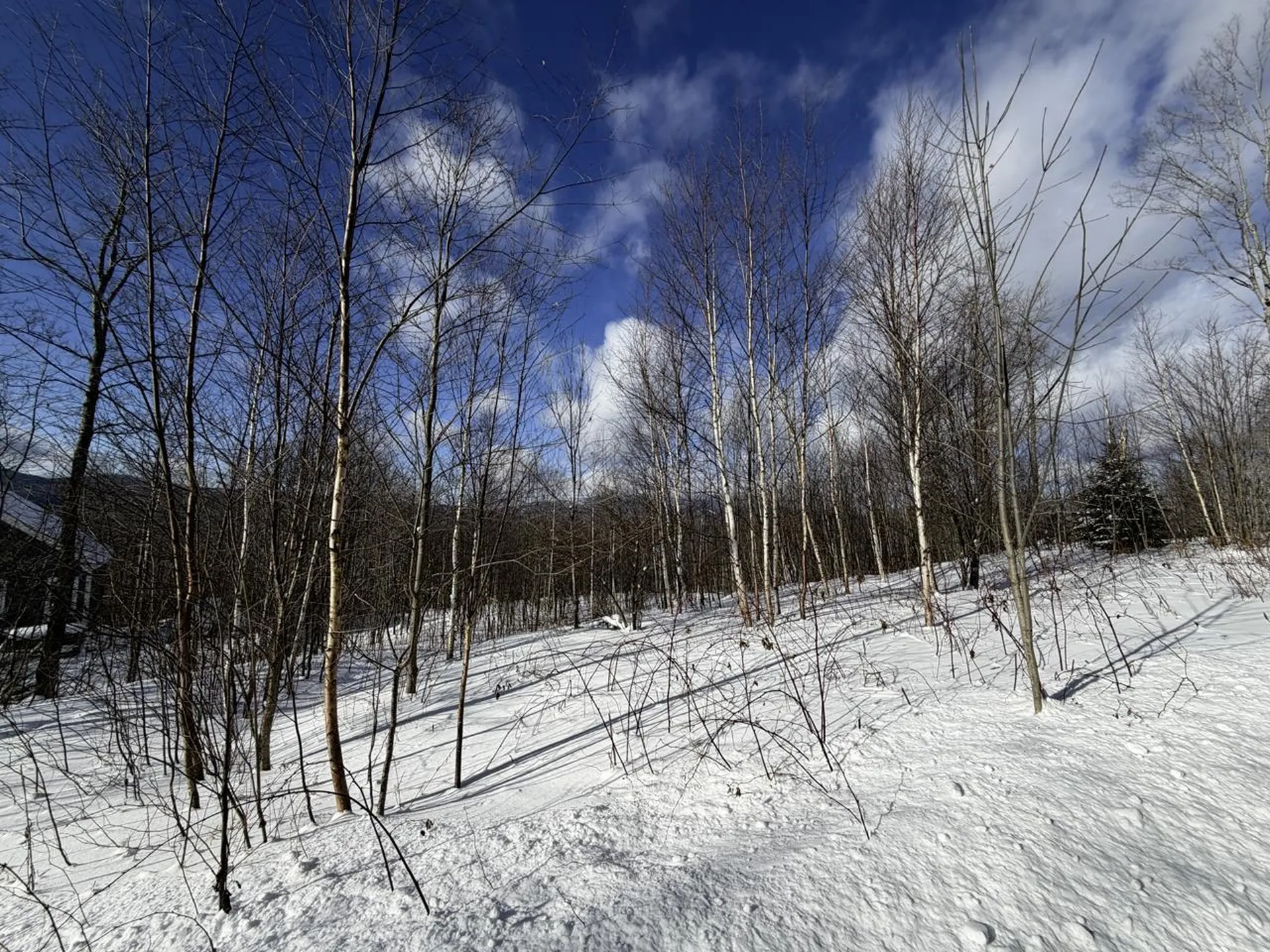 3 High View Road Warren VT 05674