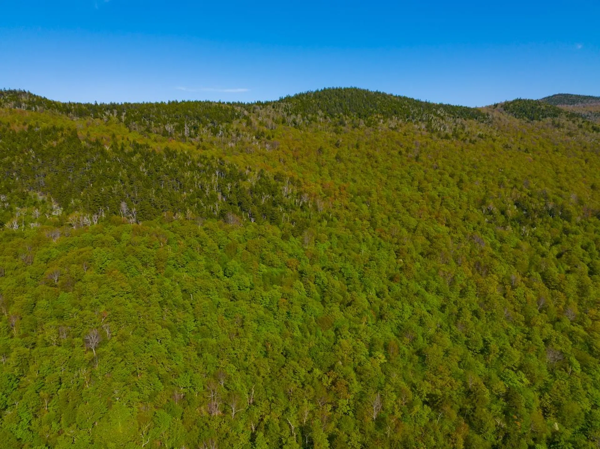 3 High View Road Warren VT 05674