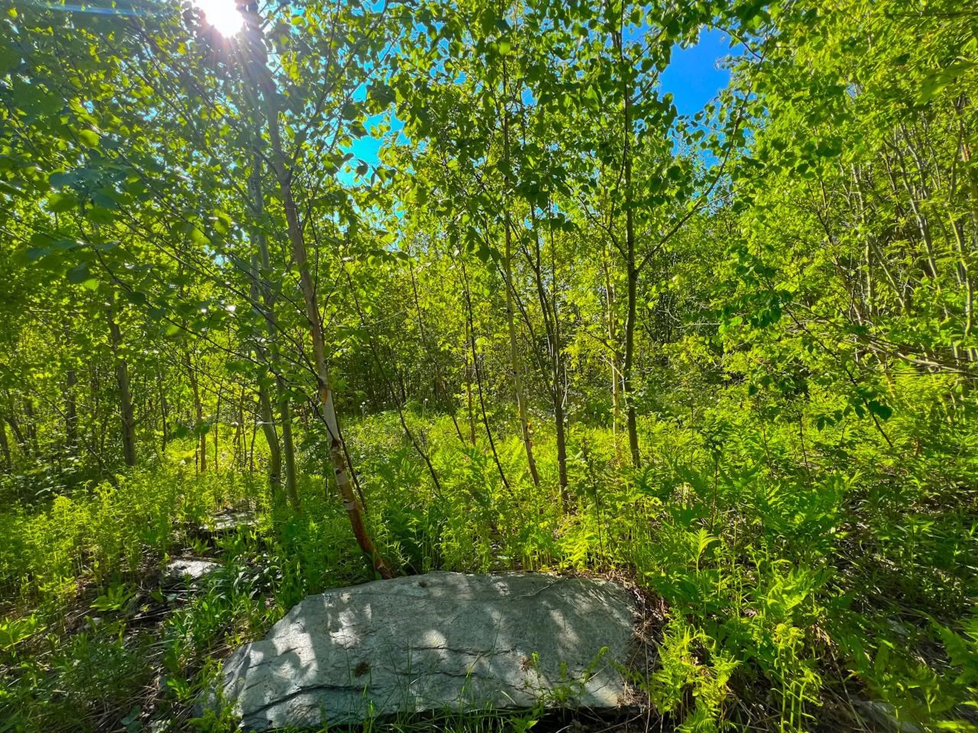 3 High View Road Warren VT 05674