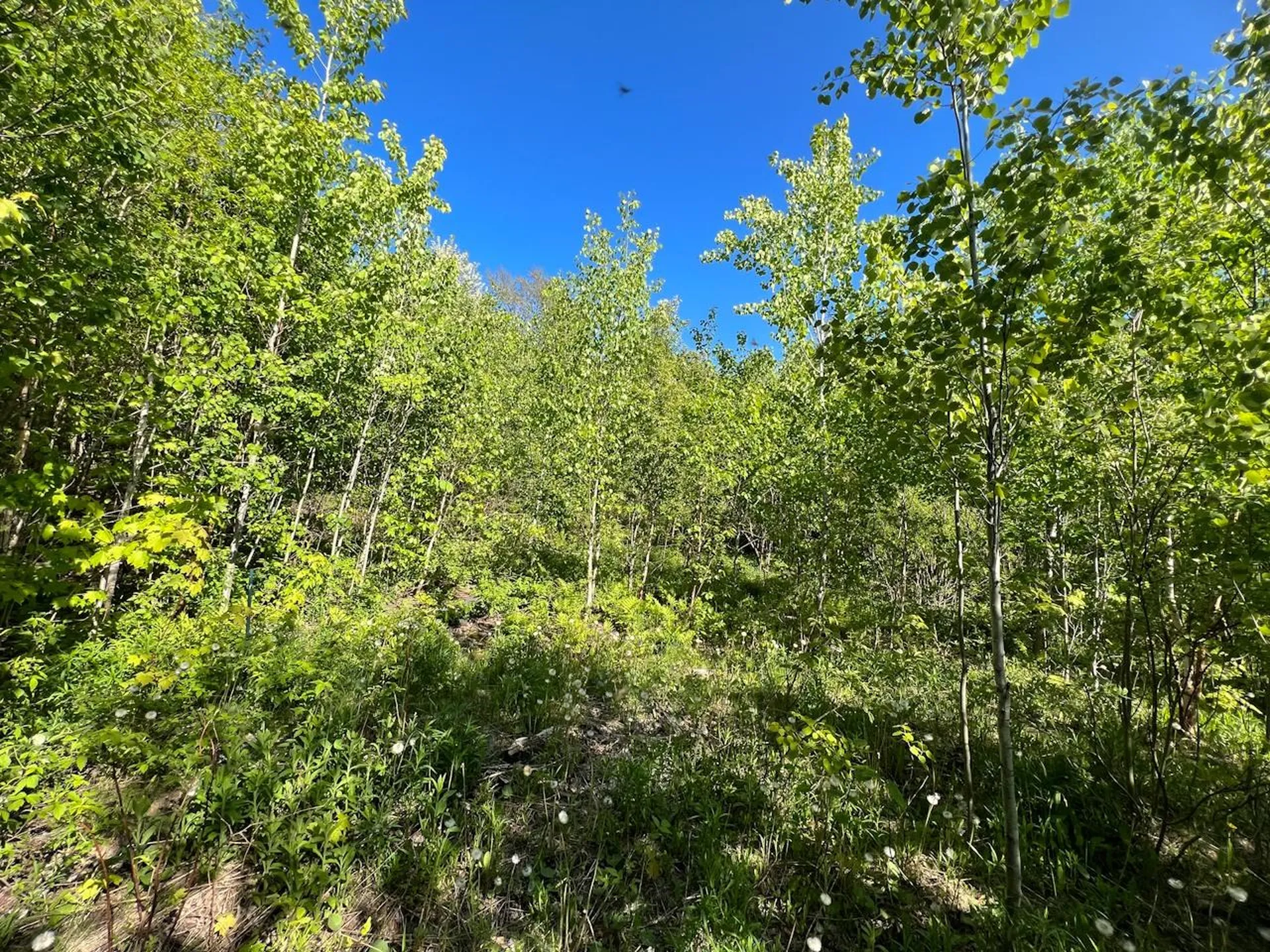 3 High View Road Warren VT 05674