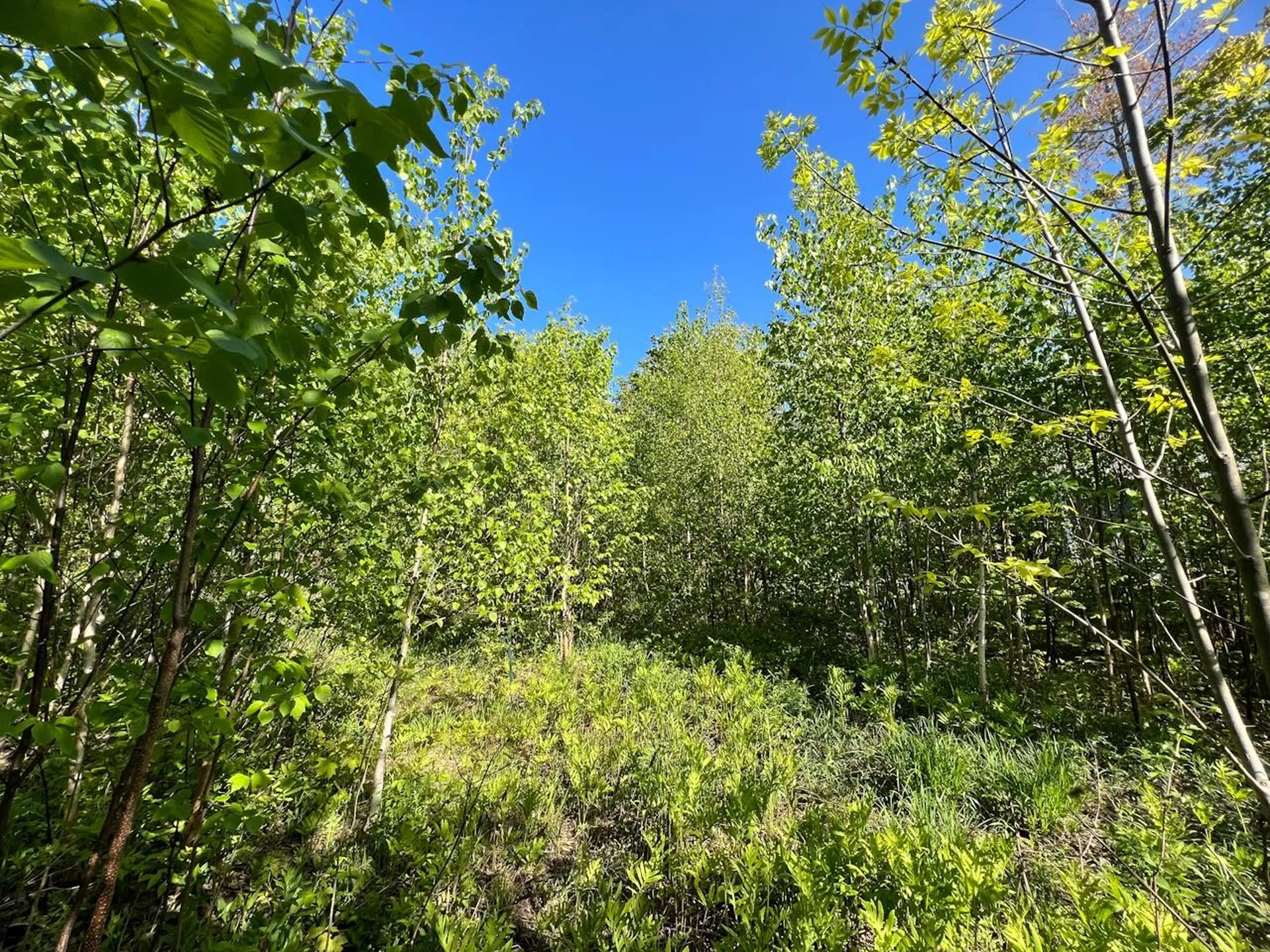 3 High View Road Warren VT 05674