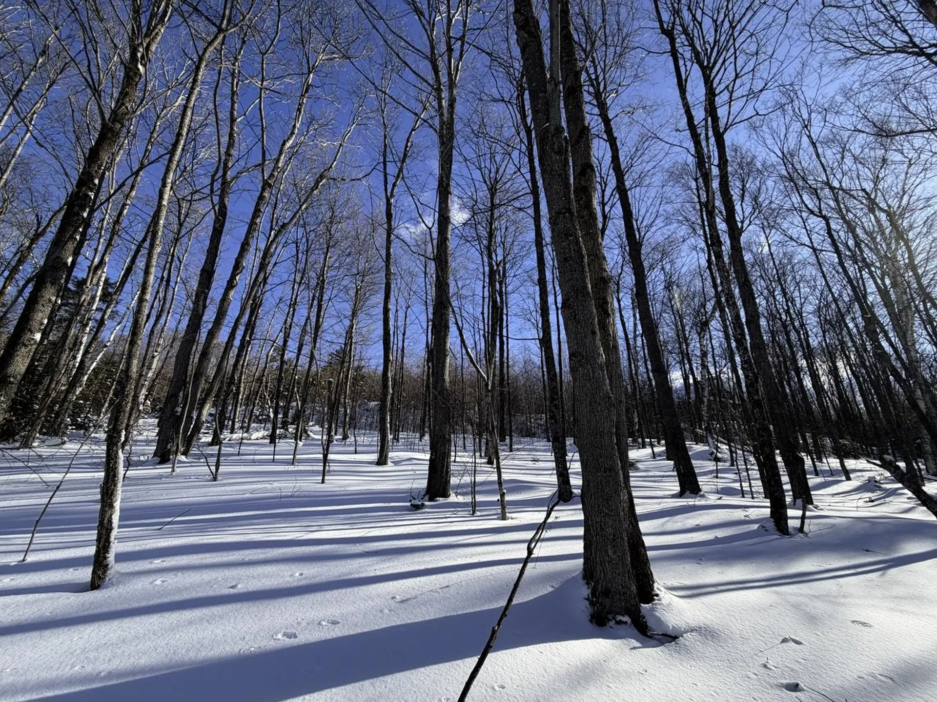 3 High View Road Warren VT 05674