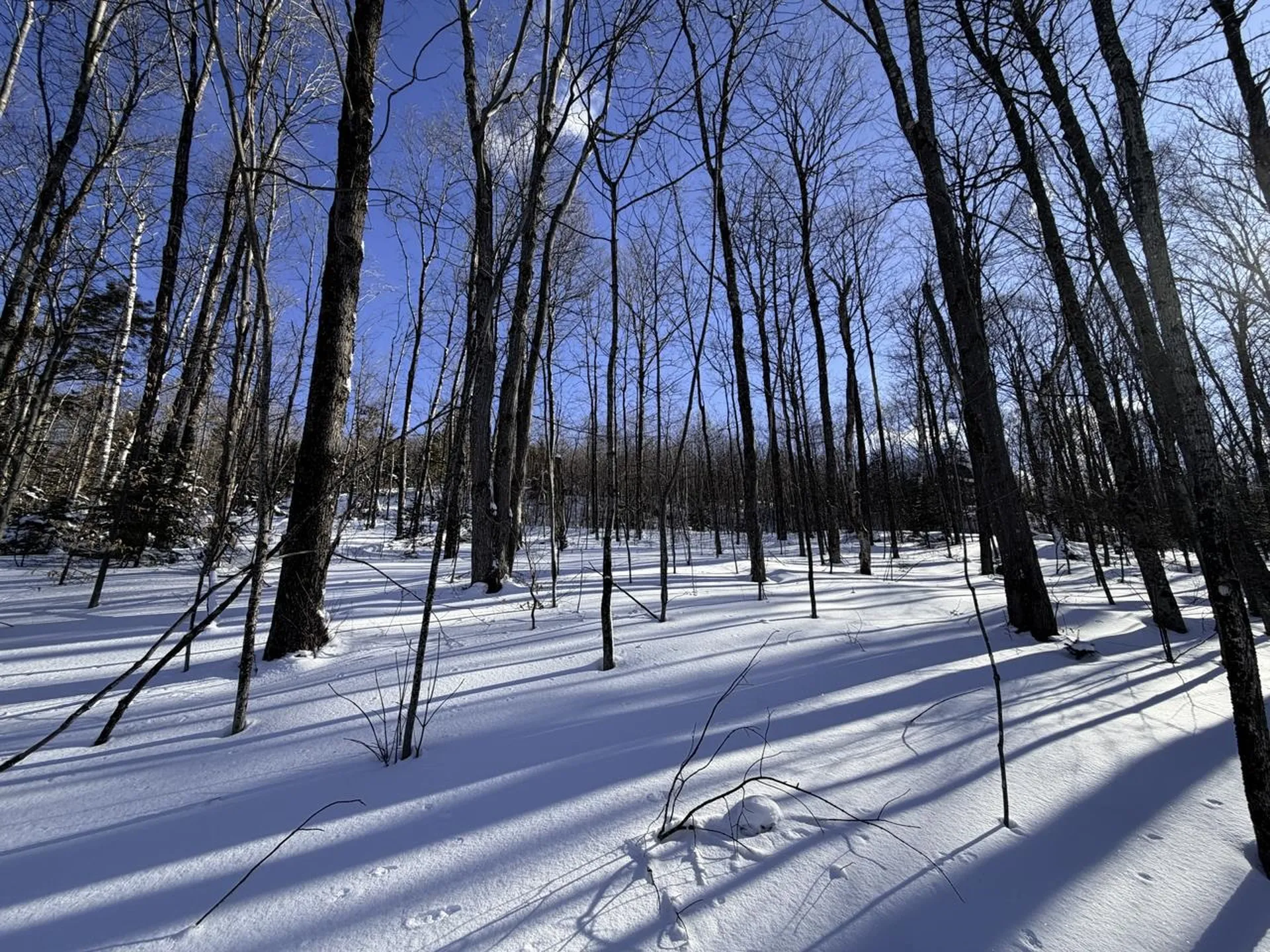 3 High View Road Warren VT 05674