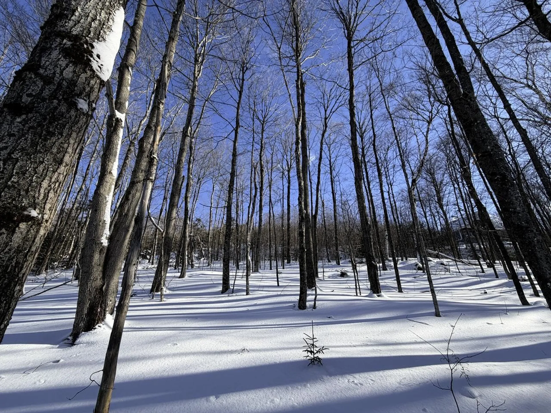 3 High View Road Warren VT 05674