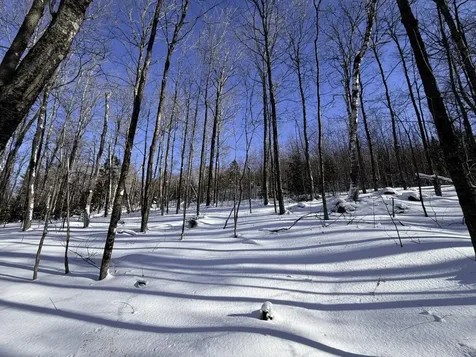 3 High View Road Warren VT 05674