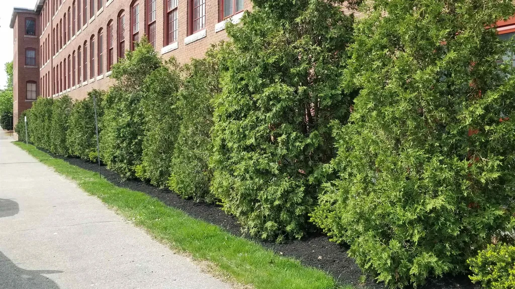 470 Silver Street Manchester NH 03103