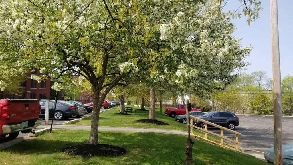 470 Silver Street Manchester NH 03103