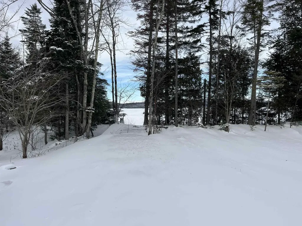 - Birch Point Road Morgan VT 05853