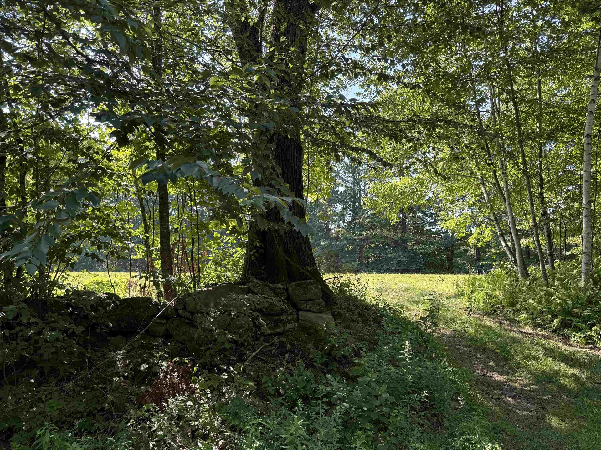 10-2 Ingalls Road Jaffrey NH 03452