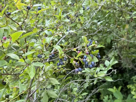 10-2 Ingalls Road Jaffrey NH 03452