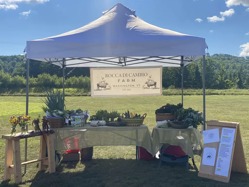 344 Morrie Road Washington VT 05675