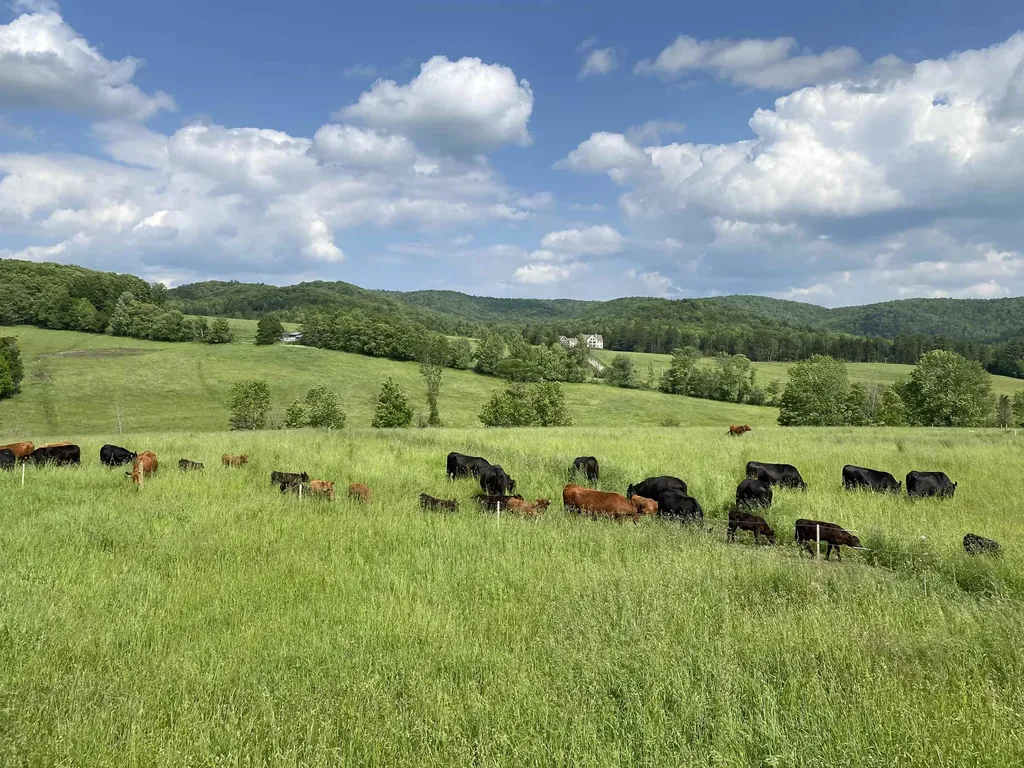 344 Morrie Road Washington VT 05675