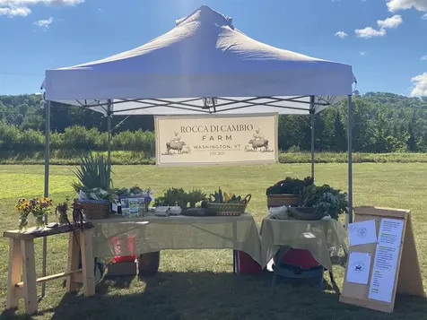 344 Morrie Road Washington VT 05675