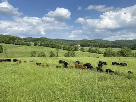 344 Morrie Road Washington VT 05675