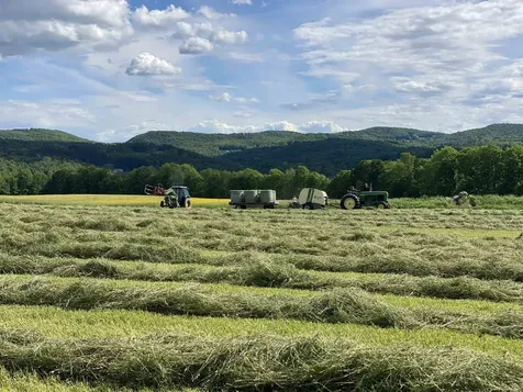 344 Morrie Road Washington VT 05675