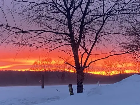 344 Morrie Road Washington VT 05675