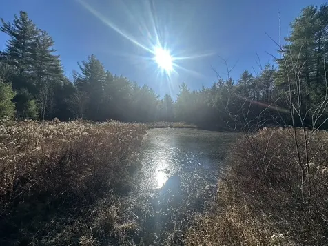 126 Old Claremont Road Acworth NH 03601