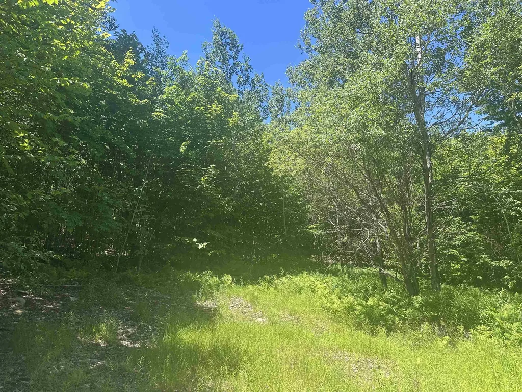 0 Stratton Gardens Road Winhall VT 05340