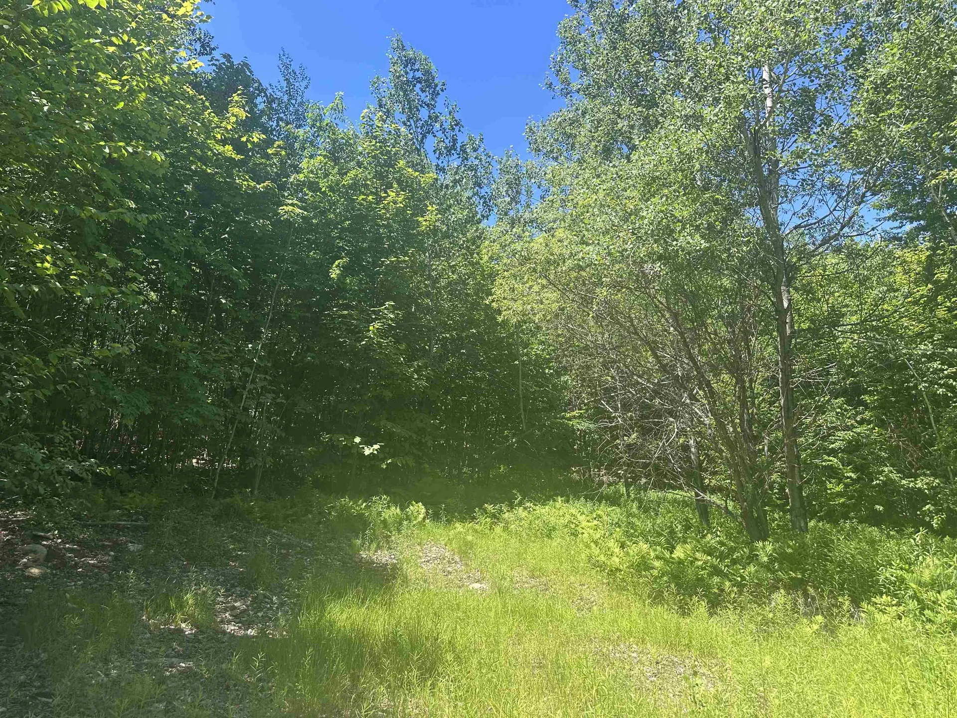 0 Stratton Gardens Road Winhall VT 05340