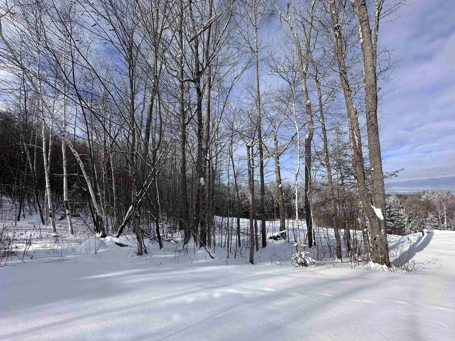 0 Stratton Gardens Road Winhall VT 05340