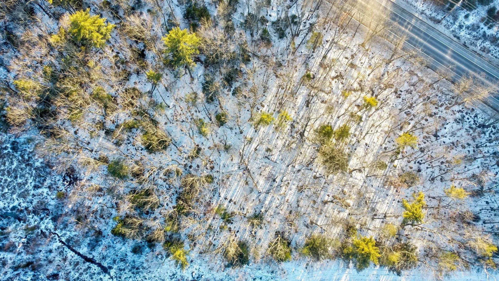 00 Moultonboro Neck Road Moultonborough NH 03254