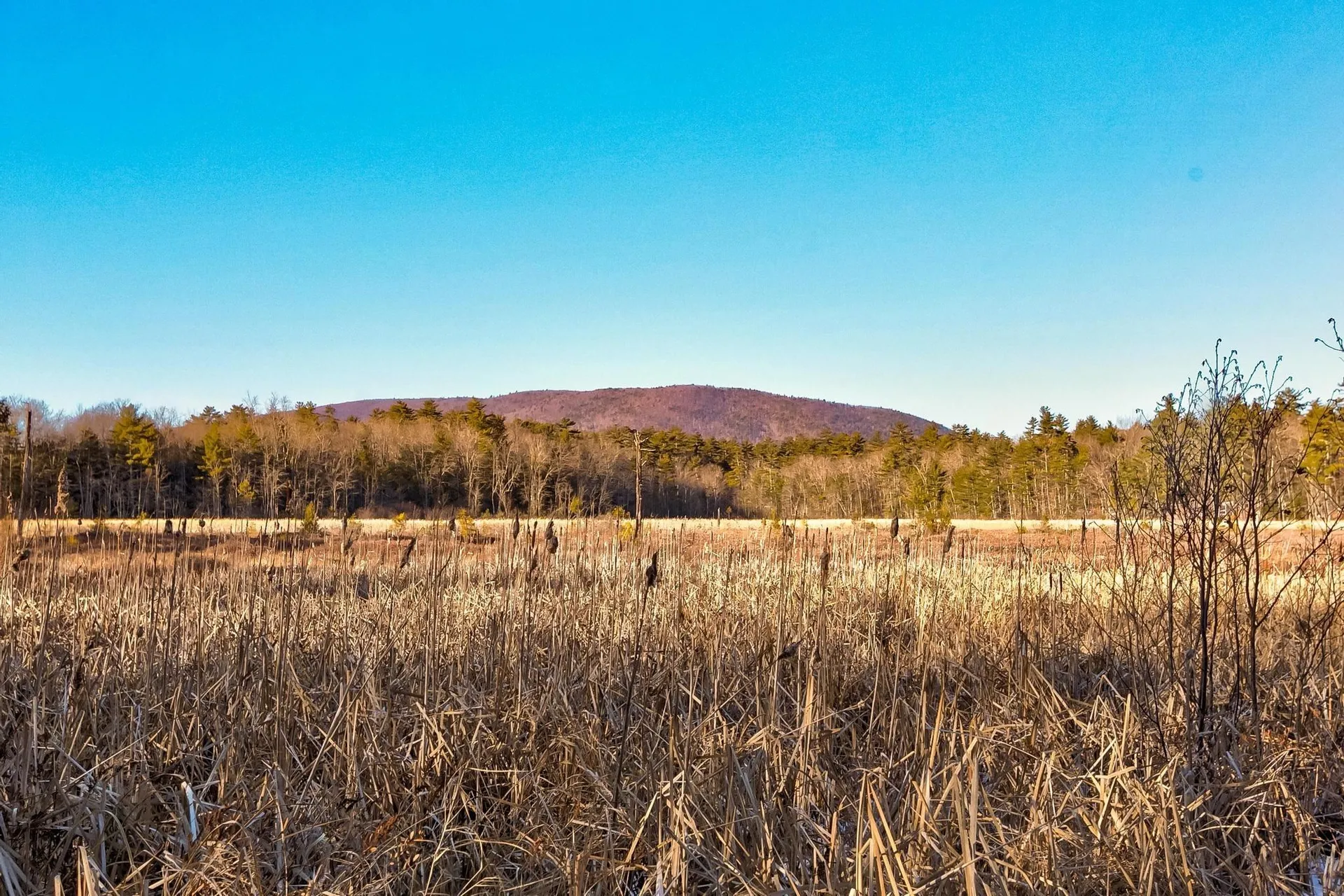 00 Moultonboro Neck Road Moultonborough NH 03254
