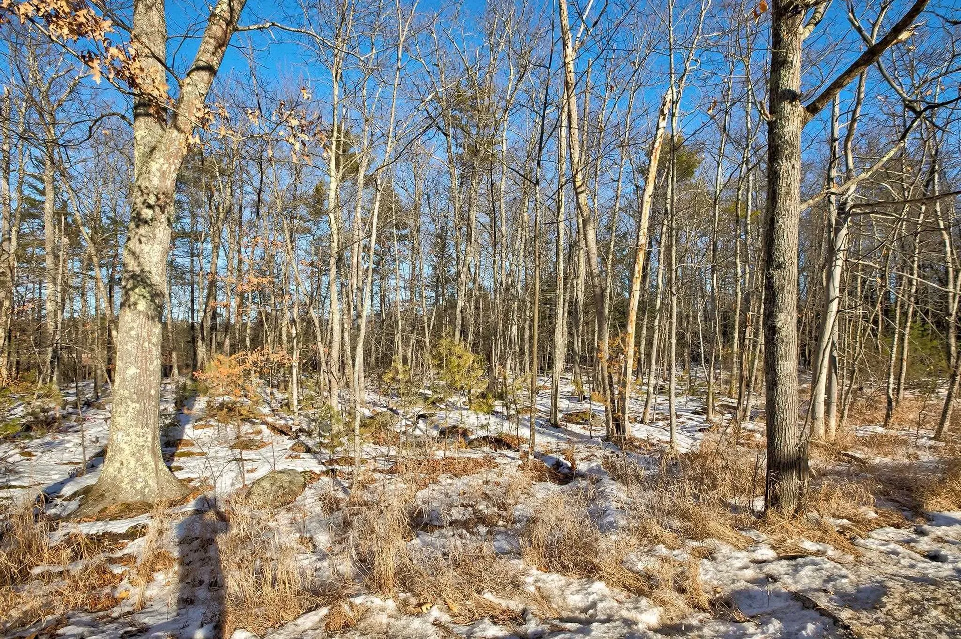 00 Moultonboro Neck Road Moultonborough NH 03254