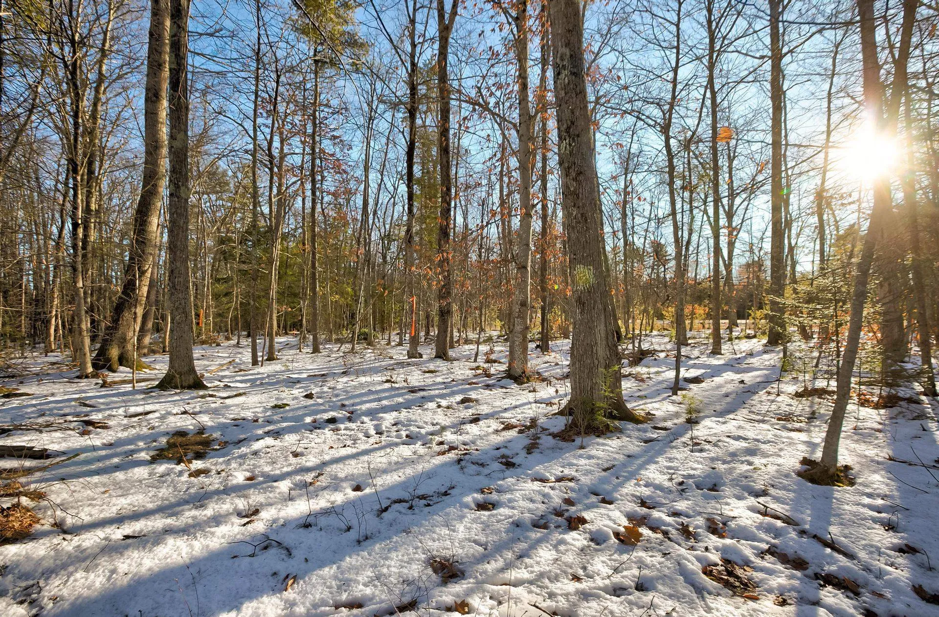00 Moultonboro Neck Road Moultonborough NH 03254