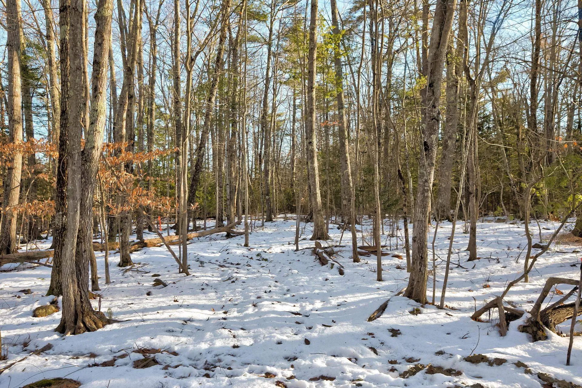 00 Moultonboro Neck Road Moultonborough NH 03254