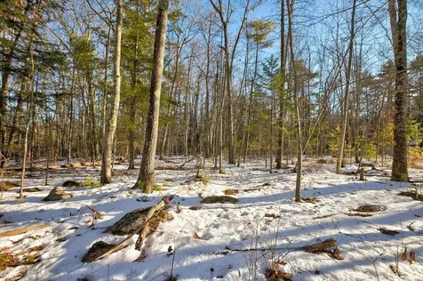 00 Moultonboro Neck Road Moultonborough NH 03254