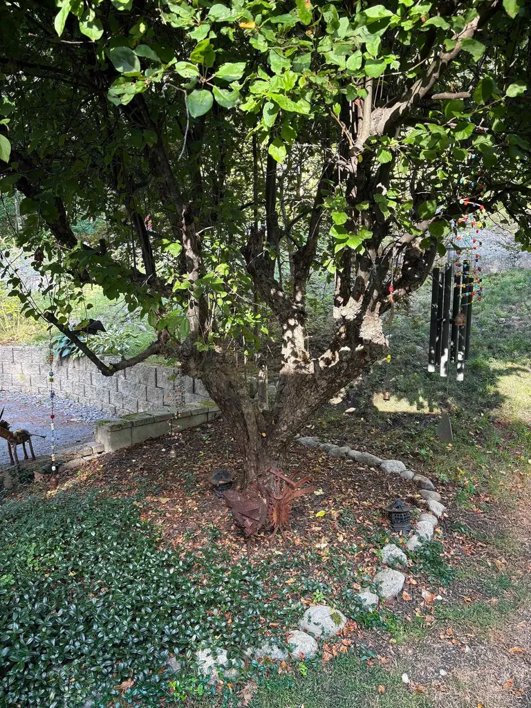 38 Old Manchester Road Amherst NH 03031