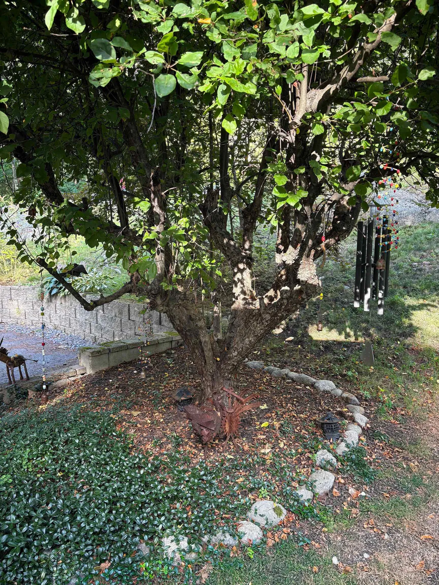 38 Old Manchester Road Amherst NH 03031