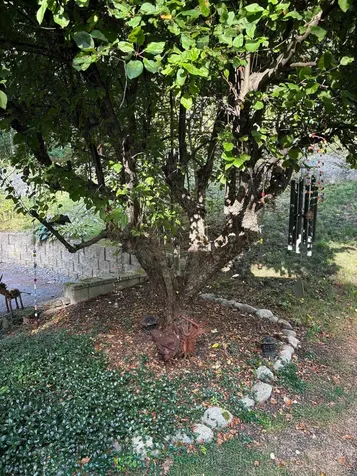 38 Old Manchester Road Amherst NH 03031