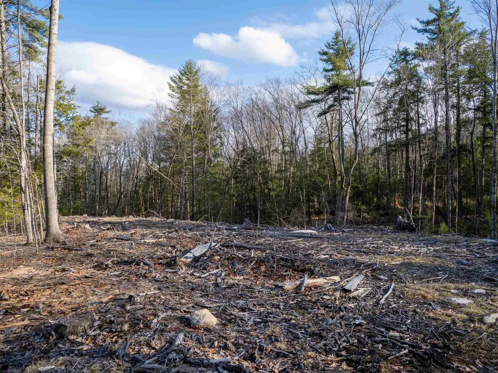 Lot 4 Scribner Hill Extension Wakefield NH 03830
