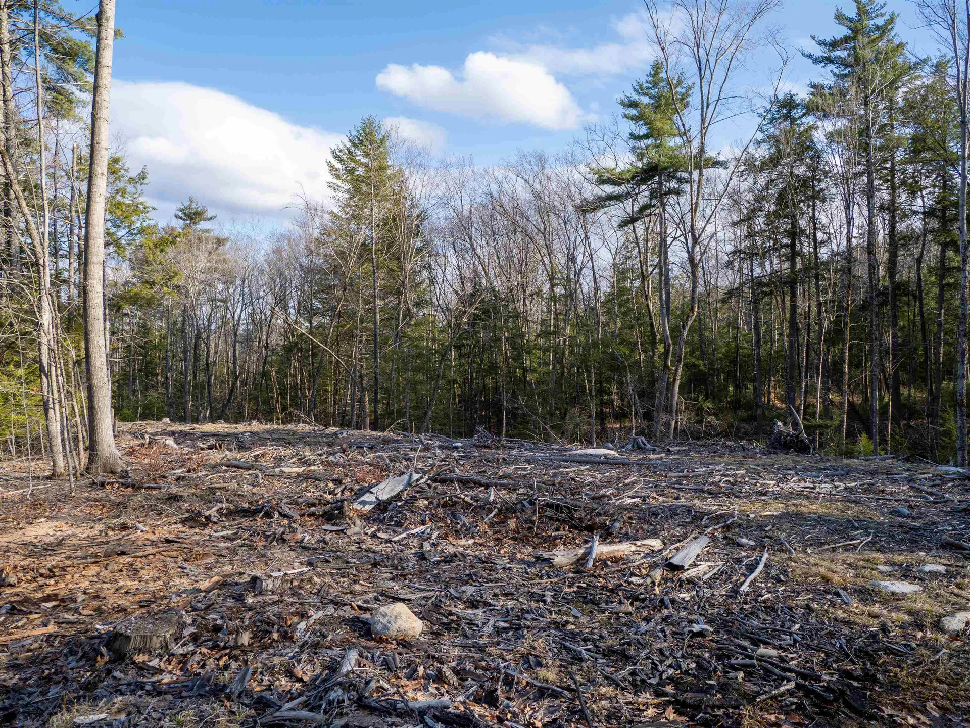 Lot 4 Scribner Hill Extension Wakefield NH 03830