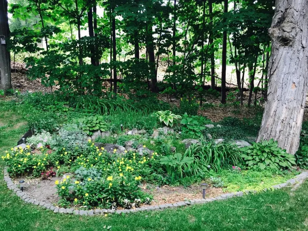 32 Birchwood Drive Milford NH 03055