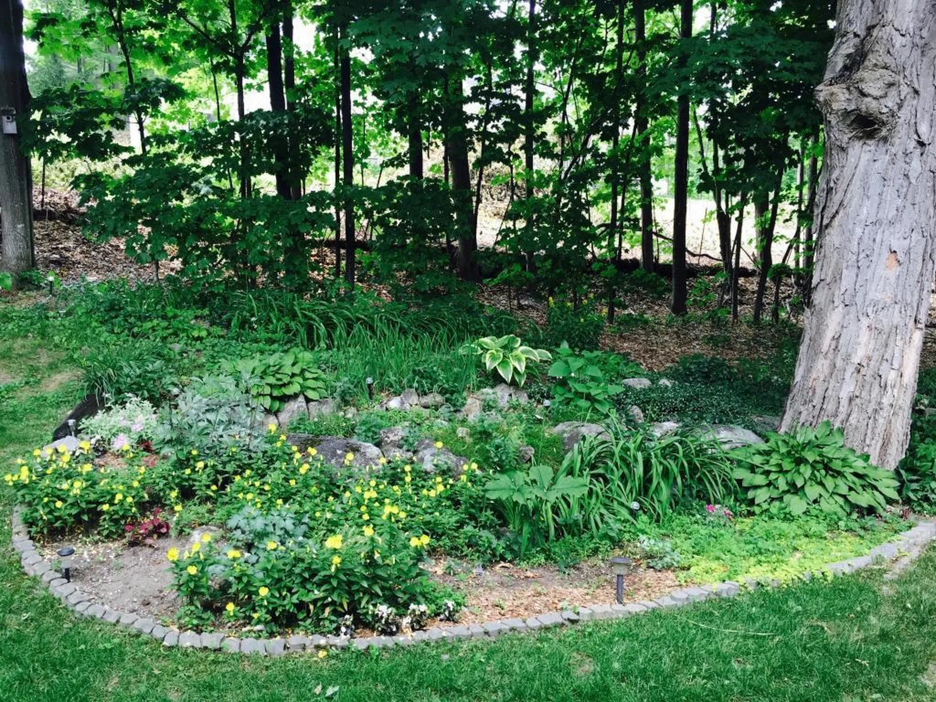 32 Birchwood Drive Milford NH 03055