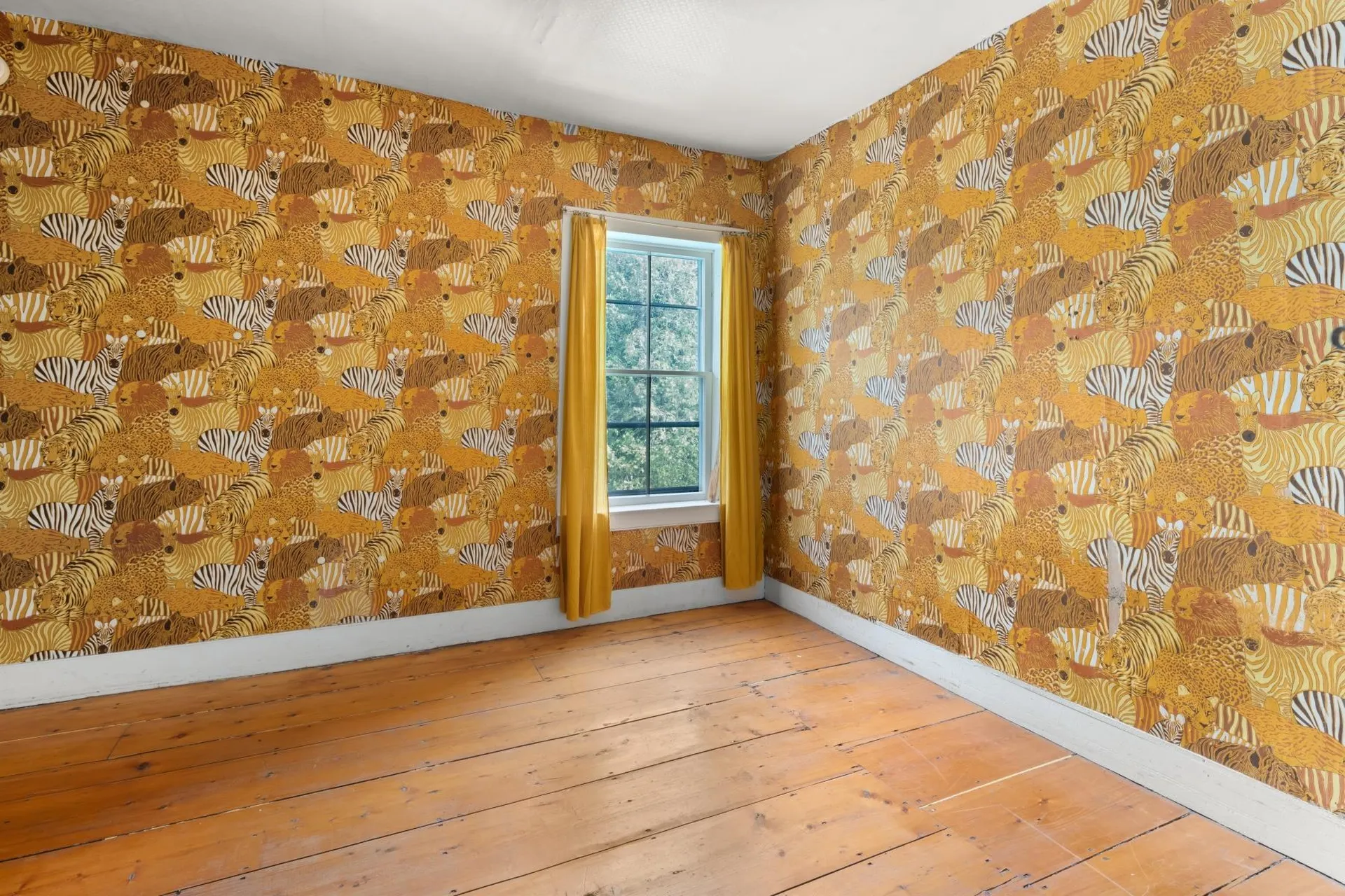 632 Morristown Corners Road Morristown VT 05661