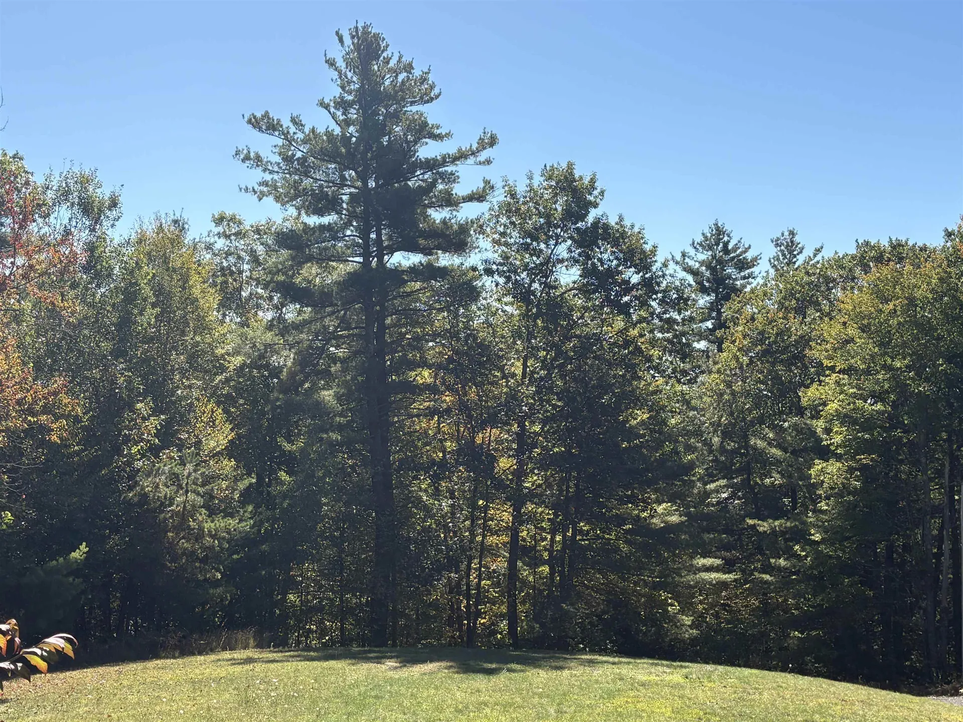 42 East Road Greenfield NH 03047