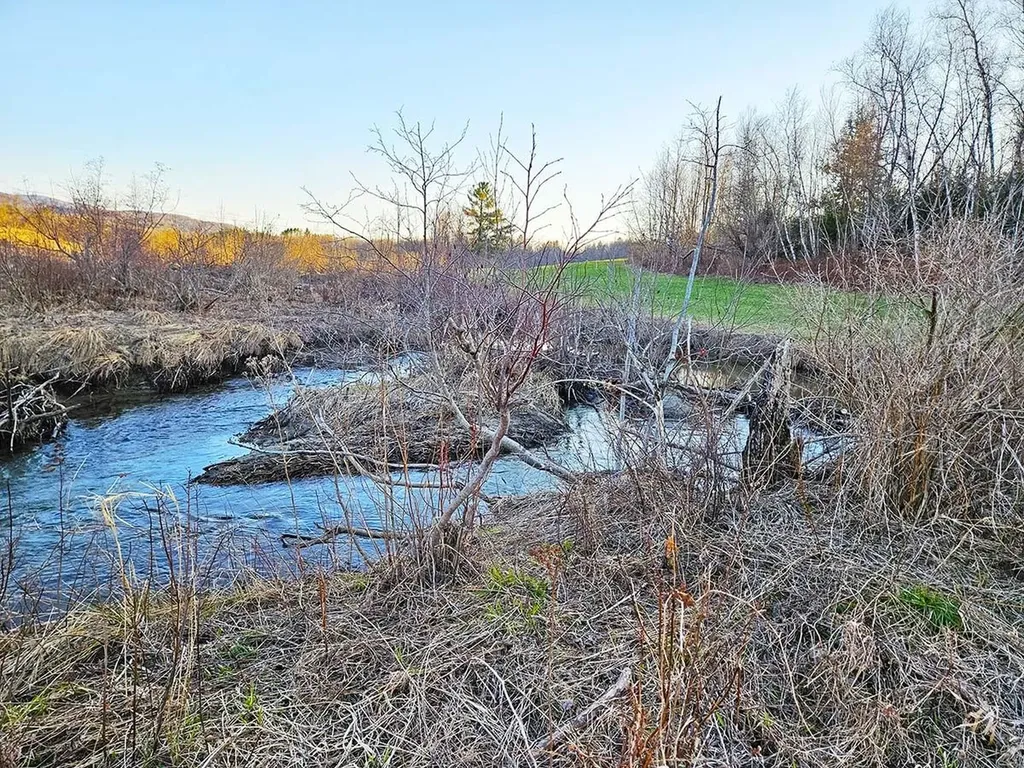 Lot 12 Paradis Lane Bakersfield VT 05450