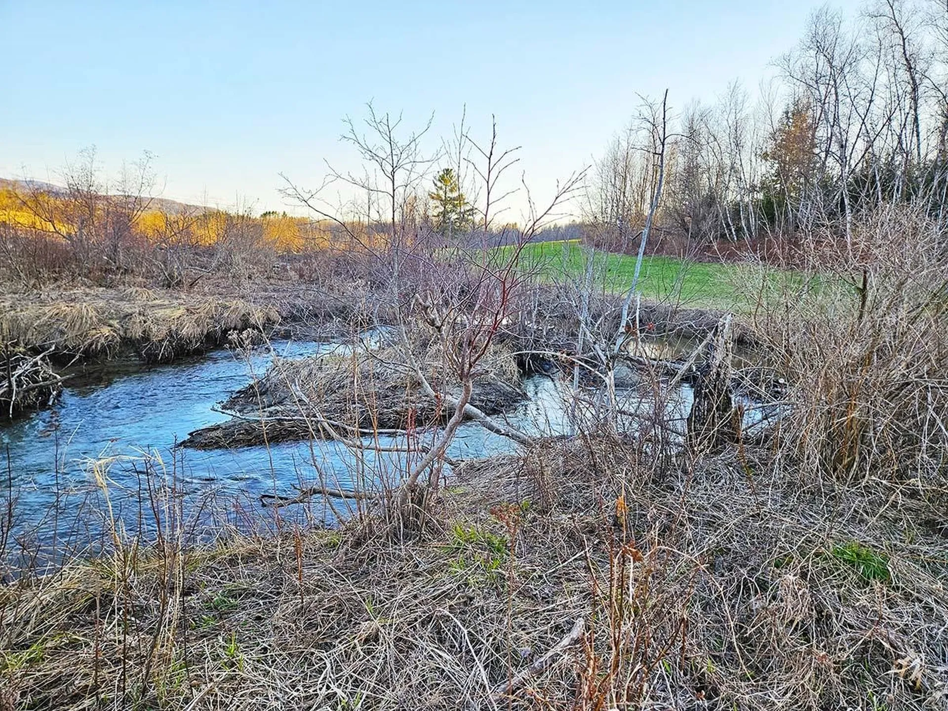 Lot 12 Paradis Lane Bakersfield VT 05450