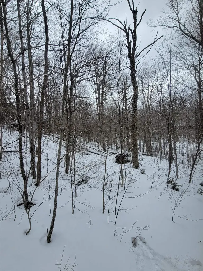 845 Bailey Hill Road Readsboro VT 05350